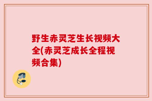 野生赤灵芝生长视频大全(赤灵芝成长全程视频合集)