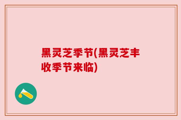 黑灵芝季节(黑灵芝丰收季节来临)