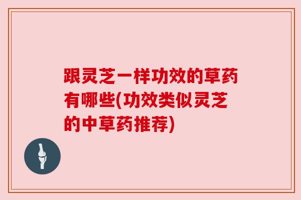 跟灵芝一样功效的草药有哪些(功效类似灵芝的中草药推荐)
