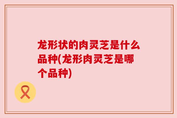 龙形状的肉灵芝是什么品种(龙形肉灵芝是哪个品种)
