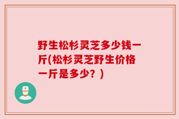 野生松杉灵芝多少钱一斤(松杉灵芝野生价格一斤是多少?)