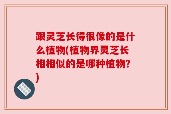 跟灵芝长得很像的是什么植物(植物界灵芝长相相似的是哪种植物?)