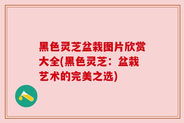 黑色灵芝盆栽图片欣赏大全(黑色灵芝：盆栽艺术的完美之选)