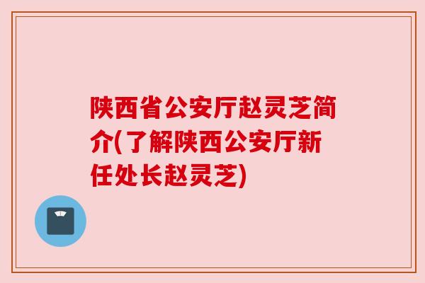 陕西省公安厅赵灵芝简介(了解陕西公安厅新任处长赵灵芝)