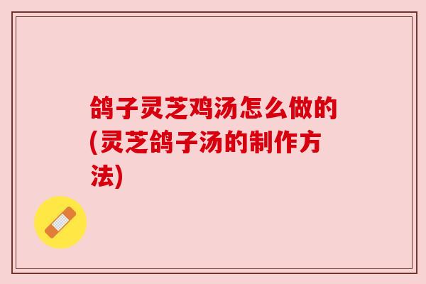 鸽子灵芝鸡汤怎么做的(灵芝鸽子汤的制作方法)