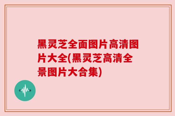 黑灵芝全面图片高清图片大全(黑灵芝高清全景图片大合集)