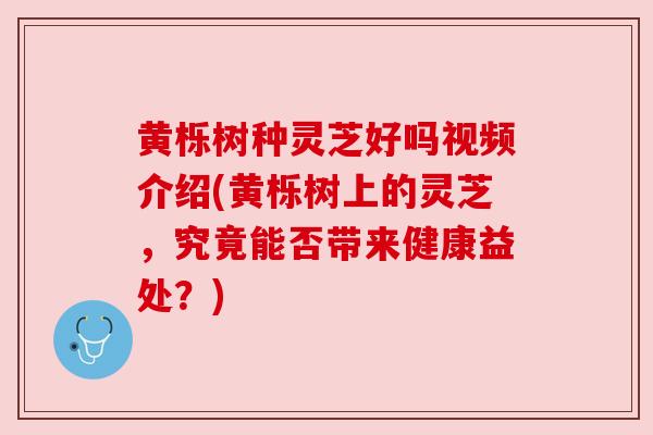 黄栎树种灵芝好吗视频介绍(黄栎树上的灵芝,究竟能否带来健康益处?)