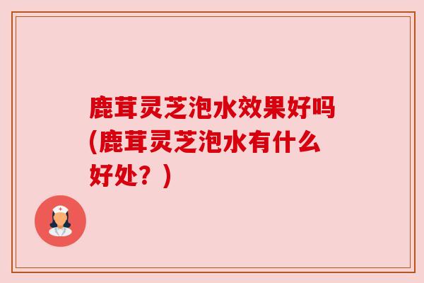鹿茸灵芝泡水效果好吗(鹿茸灵芝泡水有什么好处?)