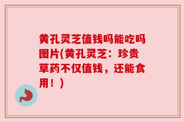 黄孔灵芝值钱吗能吃吗图片(黄孔灵芝:珍贵草药不仅值钱,还能食用!)