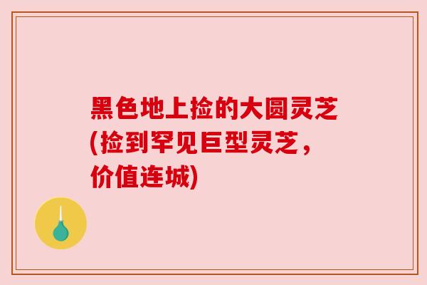 黑色地上捡的大圆灵芝(捡到罕见巨型灵芝，价值连城)
