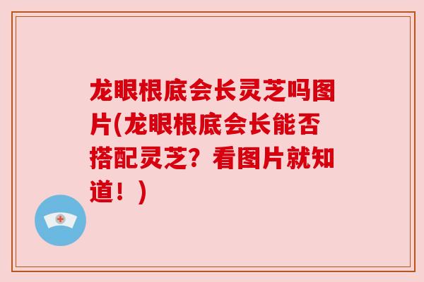 龙眼根底会长灵芝吗图片(龙眼根底会长能否搭配灵芝？看图片就知道！)
