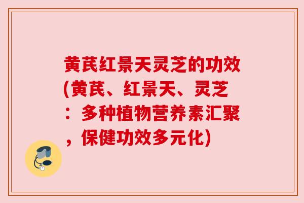 黄芪红景天灵芝的功效(黄芪、红景天、灵芝:多种植物营养素汇聚,保健功效多元化)