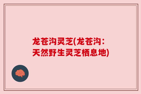 龙苍沟灵芝(龙苍沟:天然野生灵芝栖息地)