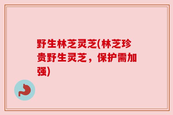 野生林芝灵芝(林芝珍贵野生灵芝，保护需加强)