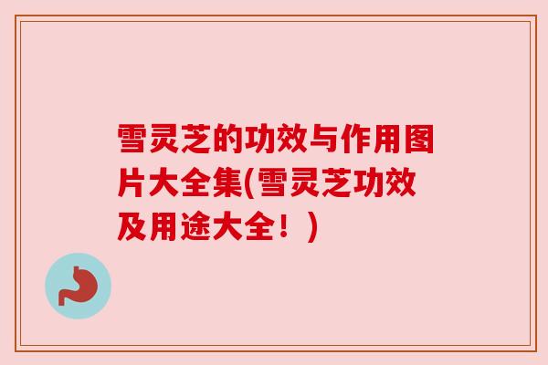 雪灵芝的功效与作用图片大全集(雪灵芝功效及用途大全！)