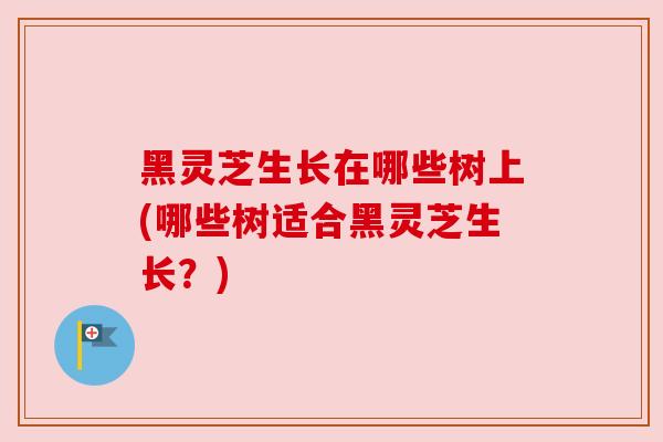 黑灵芝生长在哪些树上(哪些树适合黑灵芝生长?)