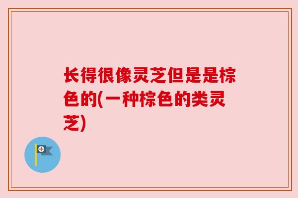 长得很像灵芝但是是棕色的(一种棕色的类灵芝)