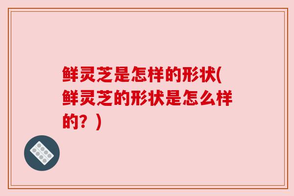鲜灵芝是怎样的形状(鲜灵芝的形状是怎么样的?)