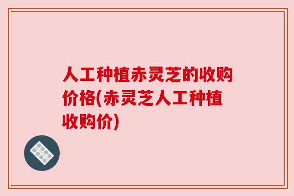 人工种植赤灵芝的收购价格(赤灵芝人工种植收购价)