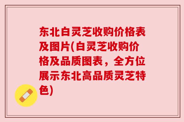 东北白灵芝收购价格表及图片(白灵芝收购价格及品质图表,全方位展示东北高品质灵芝特色)