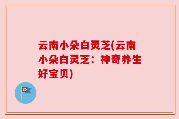云南小朵白灵芝(云南小朵白灵芝：神奇养生好宝贝)