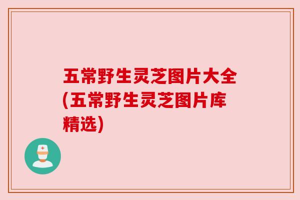 五常野生灵芝图片大全(五常野生灵芝图片库精选)