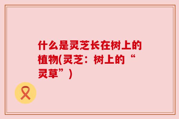 什么是灵芝长在树上的植物(灵芝:树上的“灵草”)