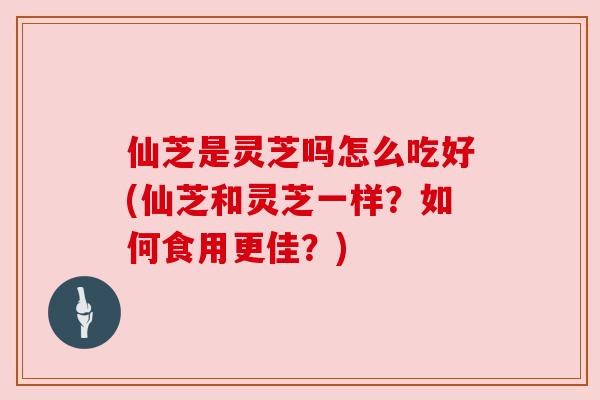 仙芝是灵芝吗怎么吃好(仙芝和灵芝一样?如何食用更佳?)