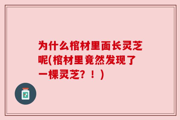 为什么棺材里面长灵芝呢(棺材里竟然发现了一棵灵芝?!)