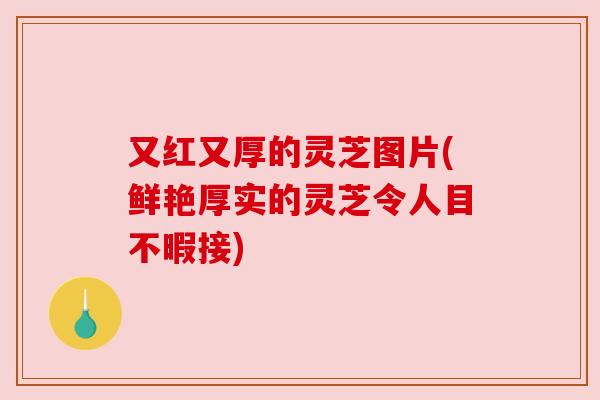 又红又厚的灵芝图片(鲜艳厚实的灵芝令人目不暇接)
