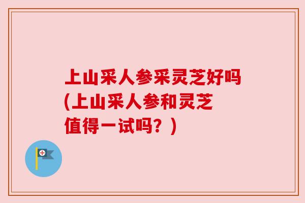 上山采人参采灵芝好吗(上山采人参和灵芝 值得一试吗？)