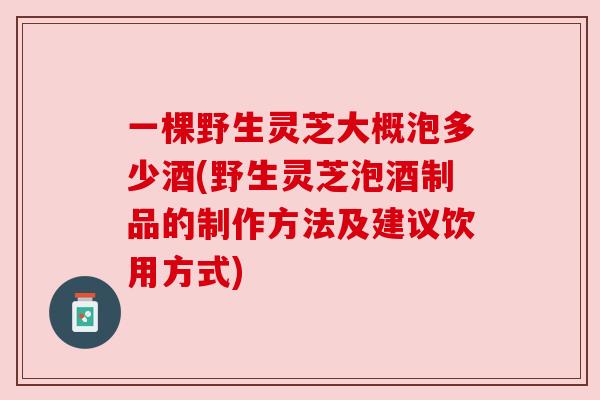 一棵野生灵芝大概泡多少酒(野生灵芝泡酒制品的制作方法及建议饮用方式)