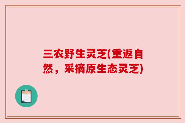 三农野生灵芝(重返自然，采摘原生态灵芝)
