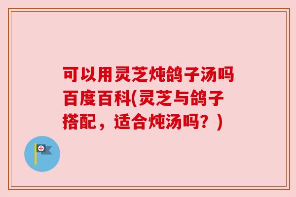 可以用灵芝炖鸽子汤吗百度百科(灵芝与鸽子搭配,适合炖汤吗?)