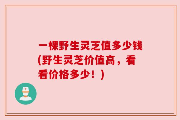 一棵野生灵芝值多少钱(野生灵芝价值高，看看价格多少！)