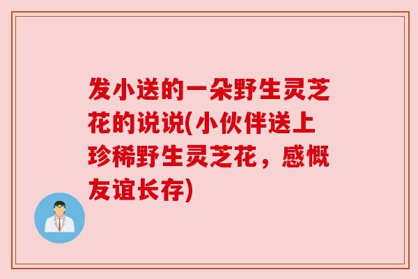 发小送的一朵野生灵芝花的说说(小伙伴送上珍稀野生灵芝花,感慨友谊长存)