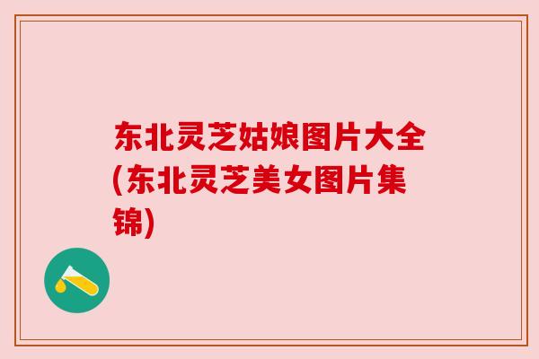 东北灵芝姑娘图片大全(东北灵芝美女图片集锦)