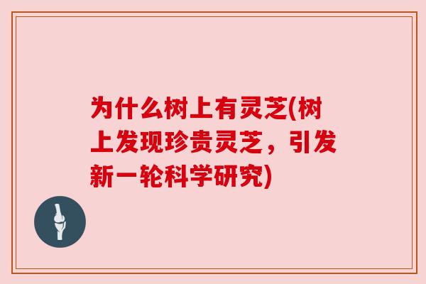 为什么树上有灵芝(树上发现珍贵灵芝,引发新一轮科学研究)