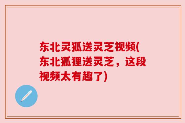 东北灵狐送灵芝视频(东北狐狸送灵芝，这段视频太有趣了)