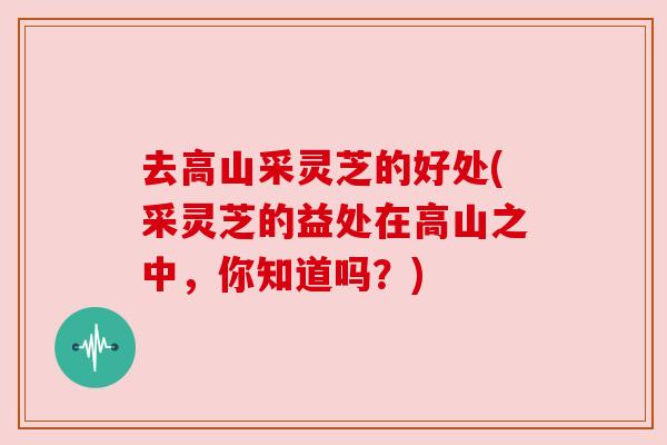 去高山采灵芝的好处(采灵芝的益处在高山之中，你知道吗？)