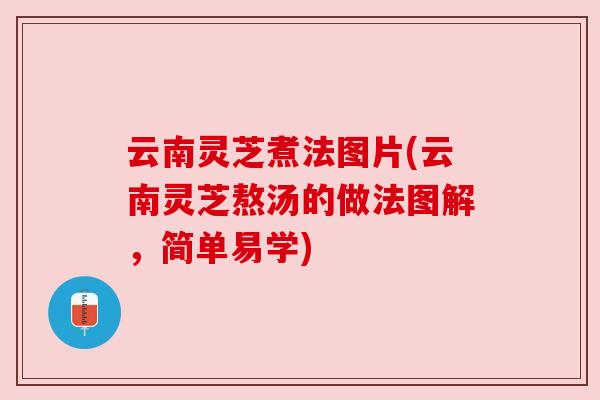 云南灵芝煮法图片(云南灵芝熬汤的做法图解,简单易学)