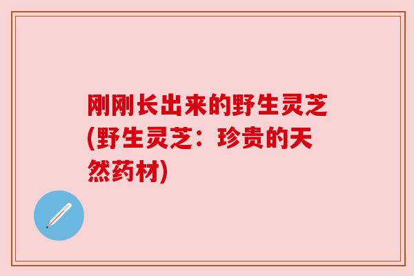 刚刚长出来的野生灵芝(野生灵芝:珍贵的天然药材)