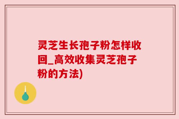 灵芝生长孢子粉怎样收回_高效收集灵芝孢子粉的方法)