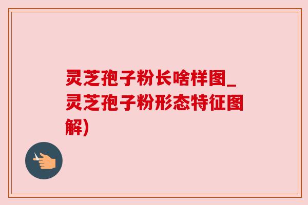 灵芝孢子粉长啥样图_灵芝孢子粉形态特征图解)