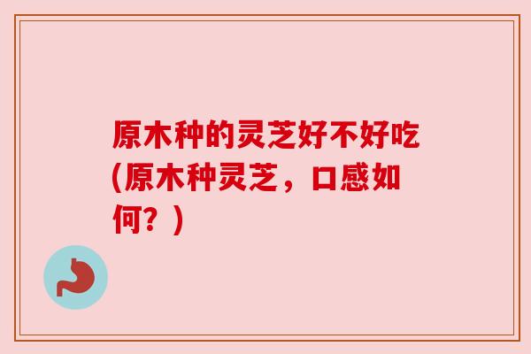 原木种的灵芝好不好吃(原木种灵芝,口感如何?)