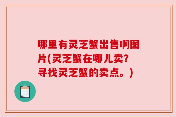 哪里有灵芝蟹出售啊图片(灵芝蟹在哪儿卖?寻找灵芝蟹的卖点。)