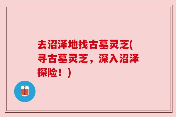 去沼泽地找古墓灵芝(寻古墓灵芝,深入沼泽探险!)