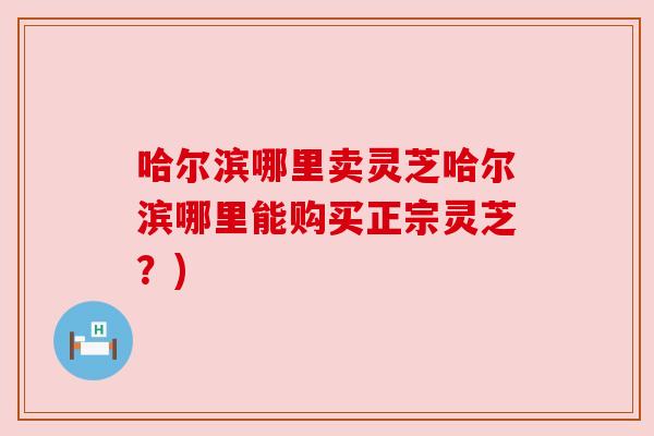 哈尔滨哪里卖灵芝哈尔滨哪里能购买正宗灵芝?)
