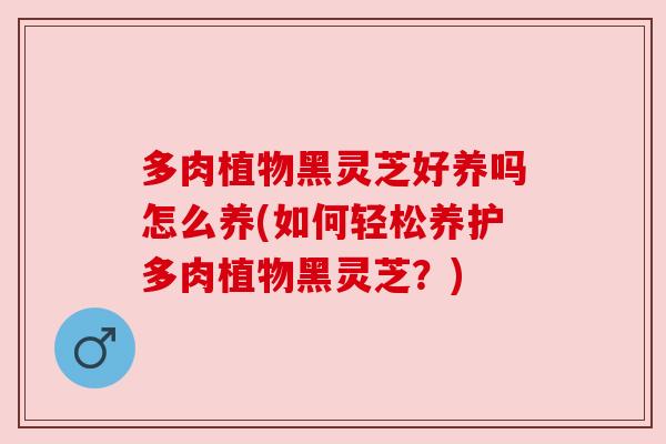 多肉植物黑灵芝好养吗怎么养(如何轻松养护多肉植物黑灵芝?)