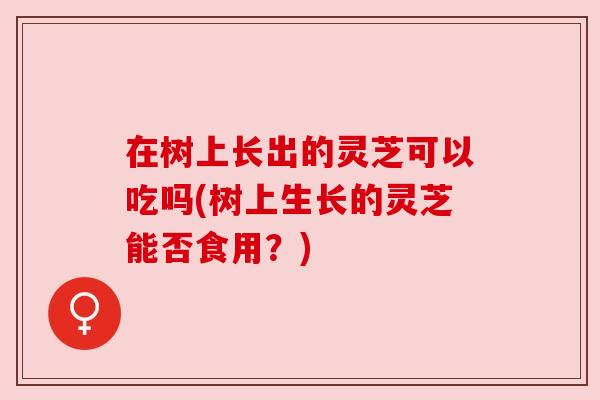 在树上长出的灵芝可以吃吗(树上生长的灵芝能否食用?)